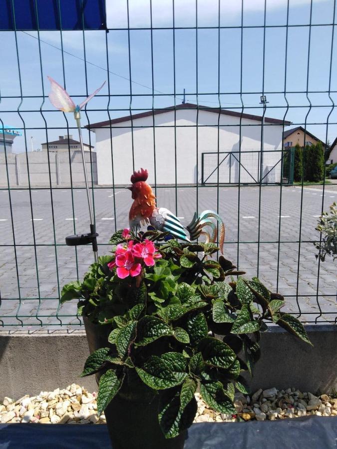 Pod Kogucikiem Aparthotel Krzyzanowice Bagian luar foto