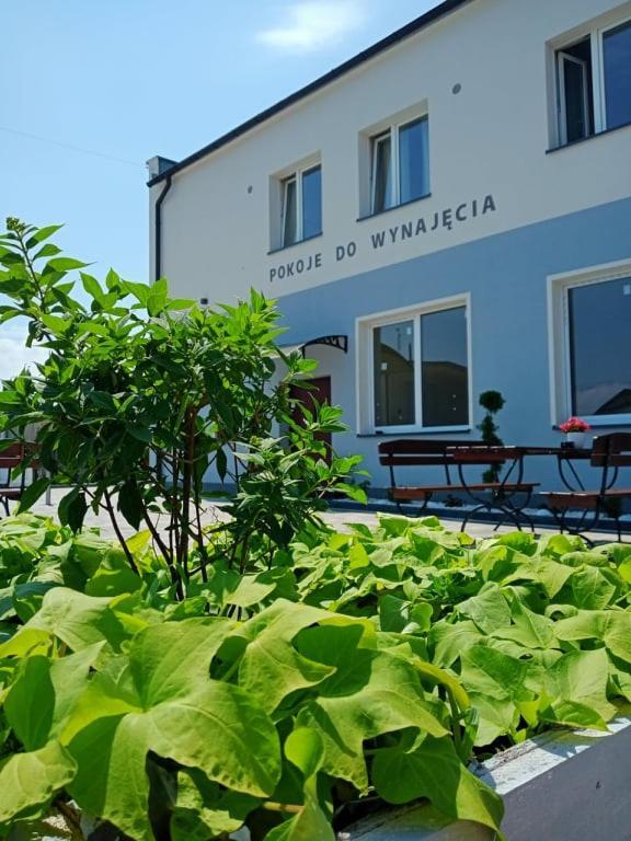 Pod Kogucikiem Aparthotel Krzyzanowice Bagian luar foto
