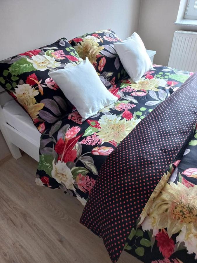 Pod Kogucikiem Aparthotel Krzyzanowice Bagian luar foto